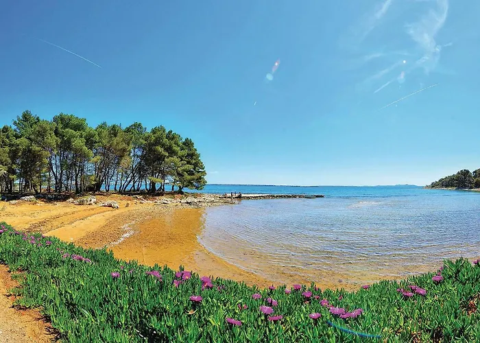 Awesome In With Wifi